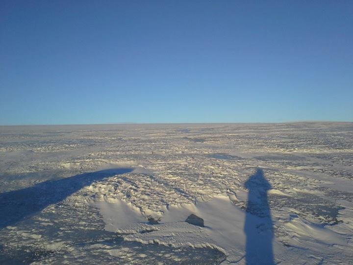 1384373_10152007190812959_1442711678_n.jpg