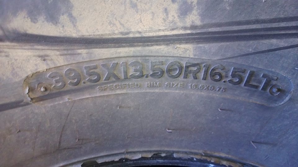 1455995_10201933161666776_1292068280_n.jpg
