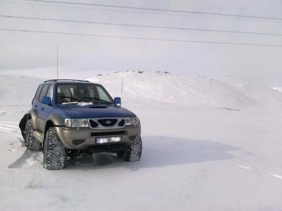 terrano1.jpg