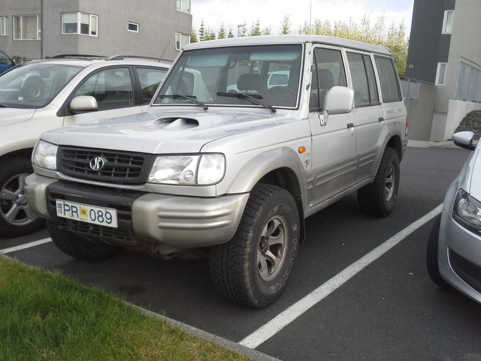 galloper.jpg