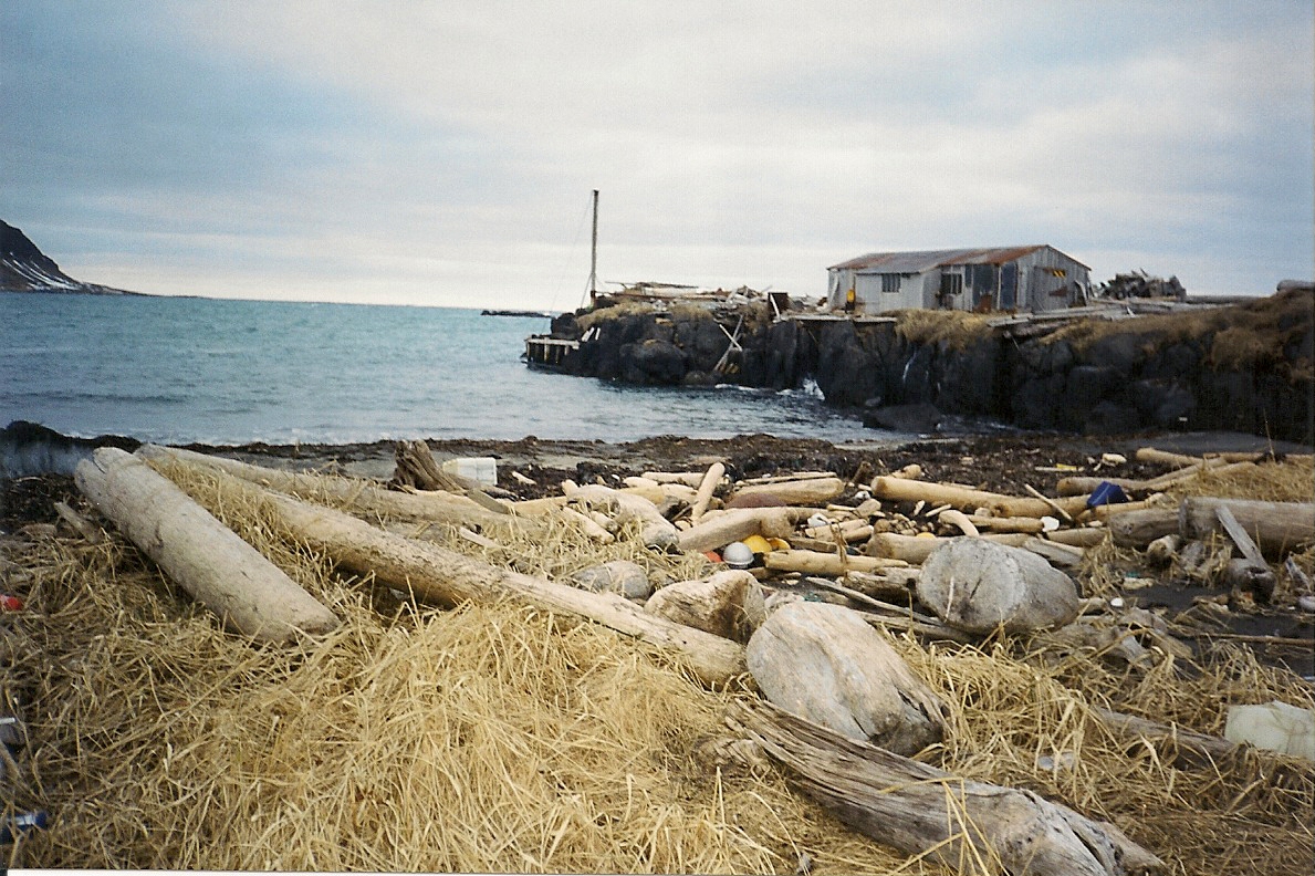 scan0043.jpg