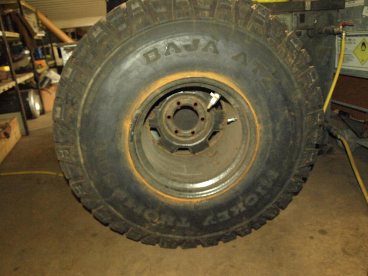 P1013589.JPG