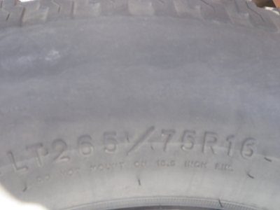 P4290241 - Copy.JPG