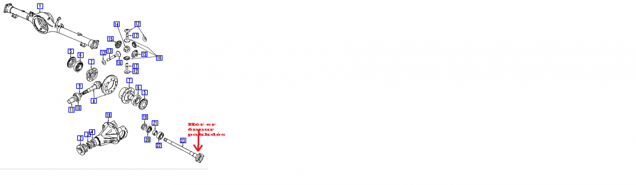 Mynd 1.png