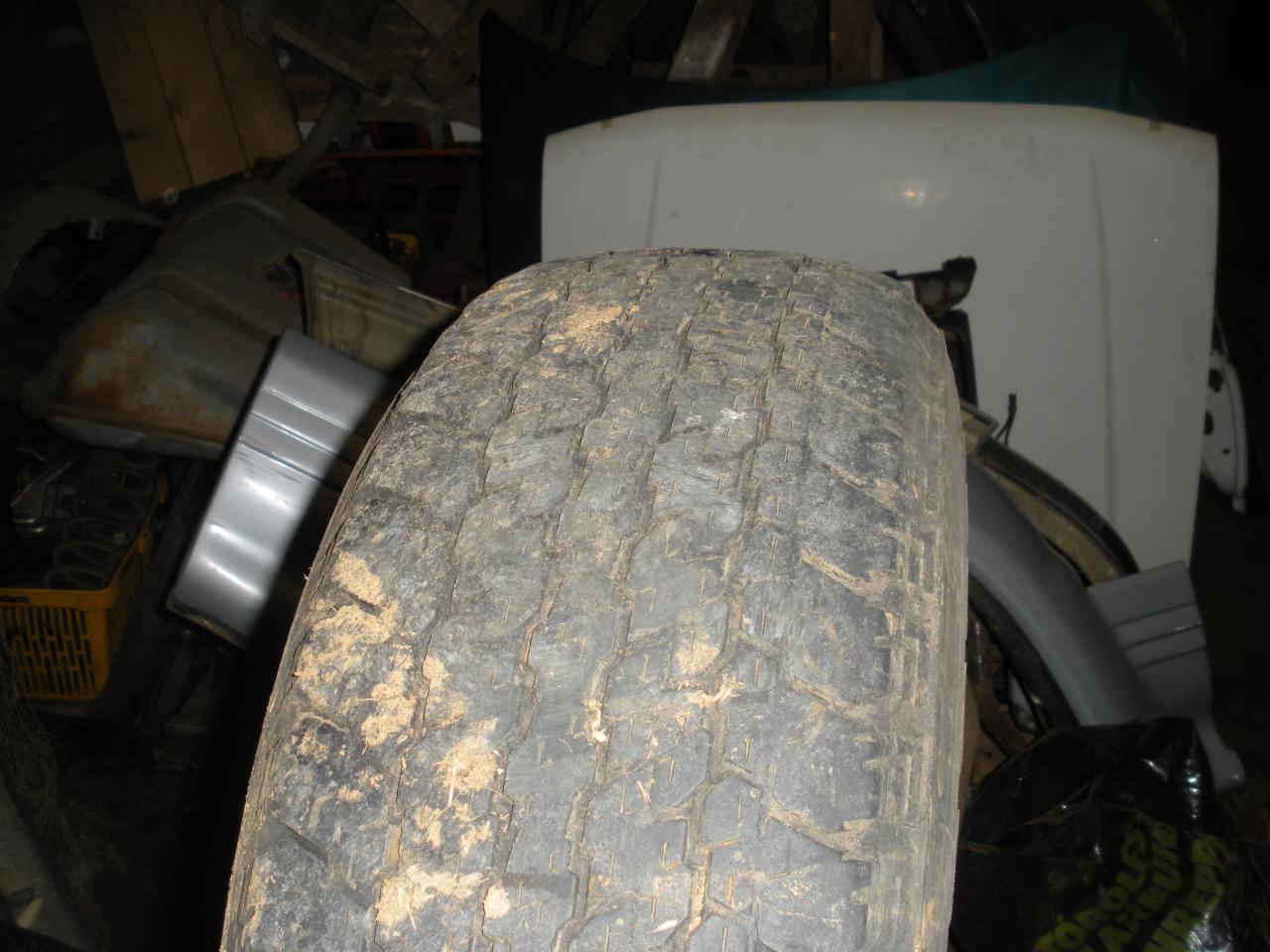 DSCN3112.JPG