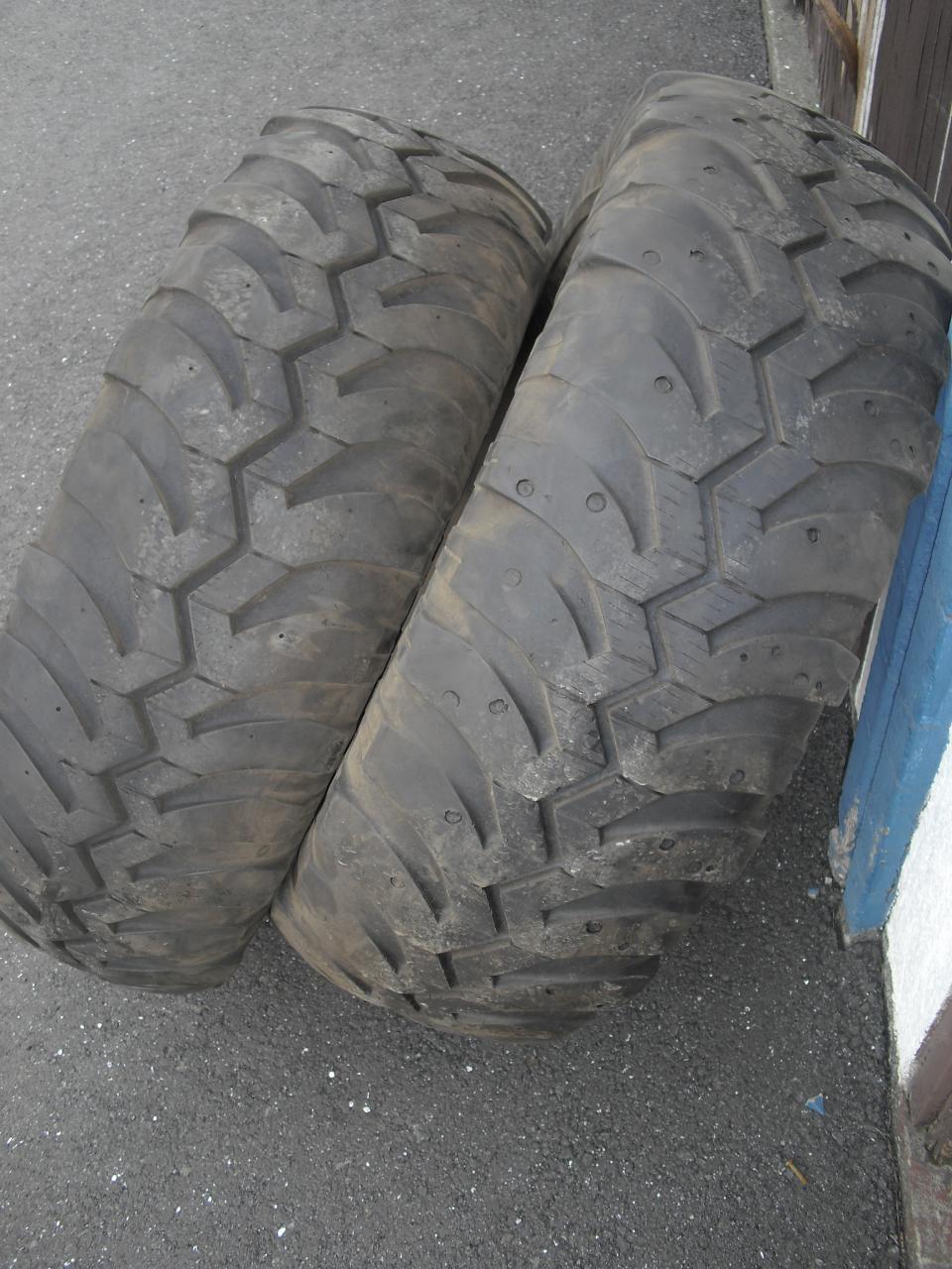 CIMG6457.JPG