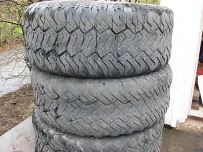 alskonar 029.jpg