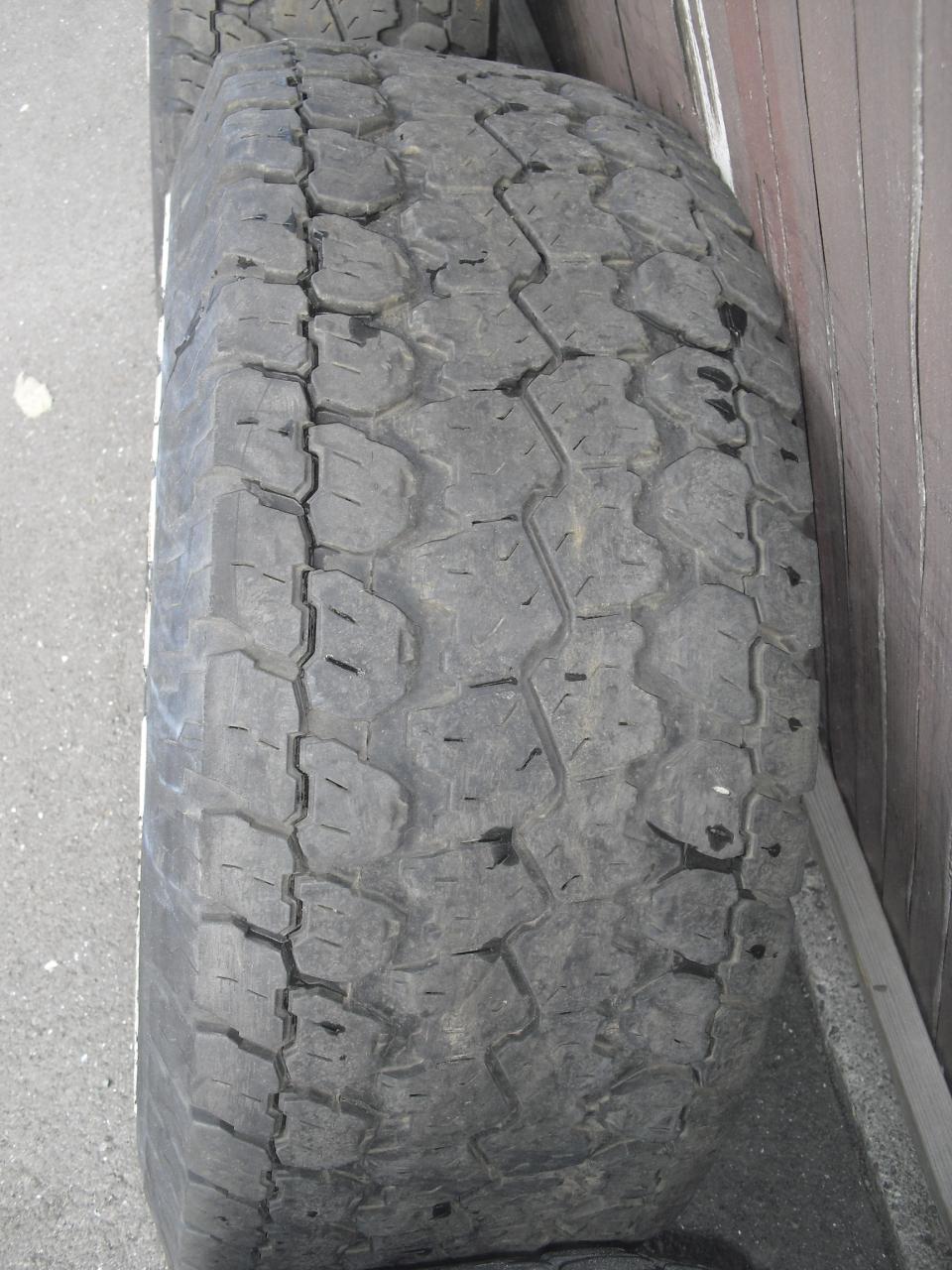 CIMG6824.JPG