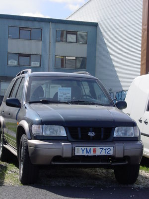 frá mömmu 102.jpg