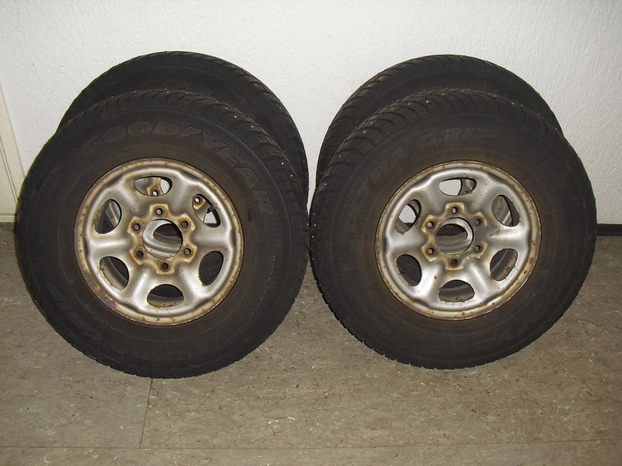 CIMG6341.JPG