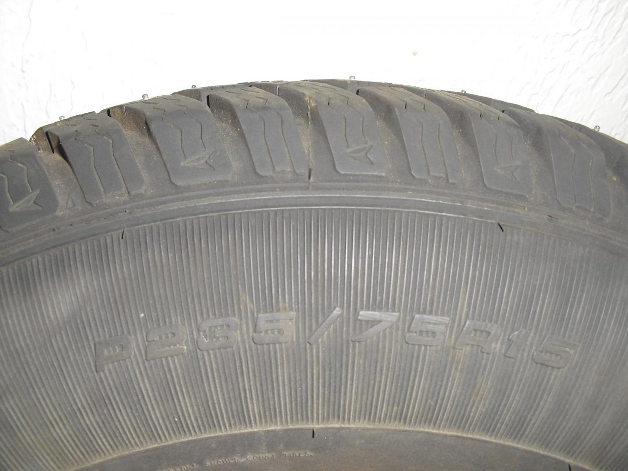 CIMG6346.JPG