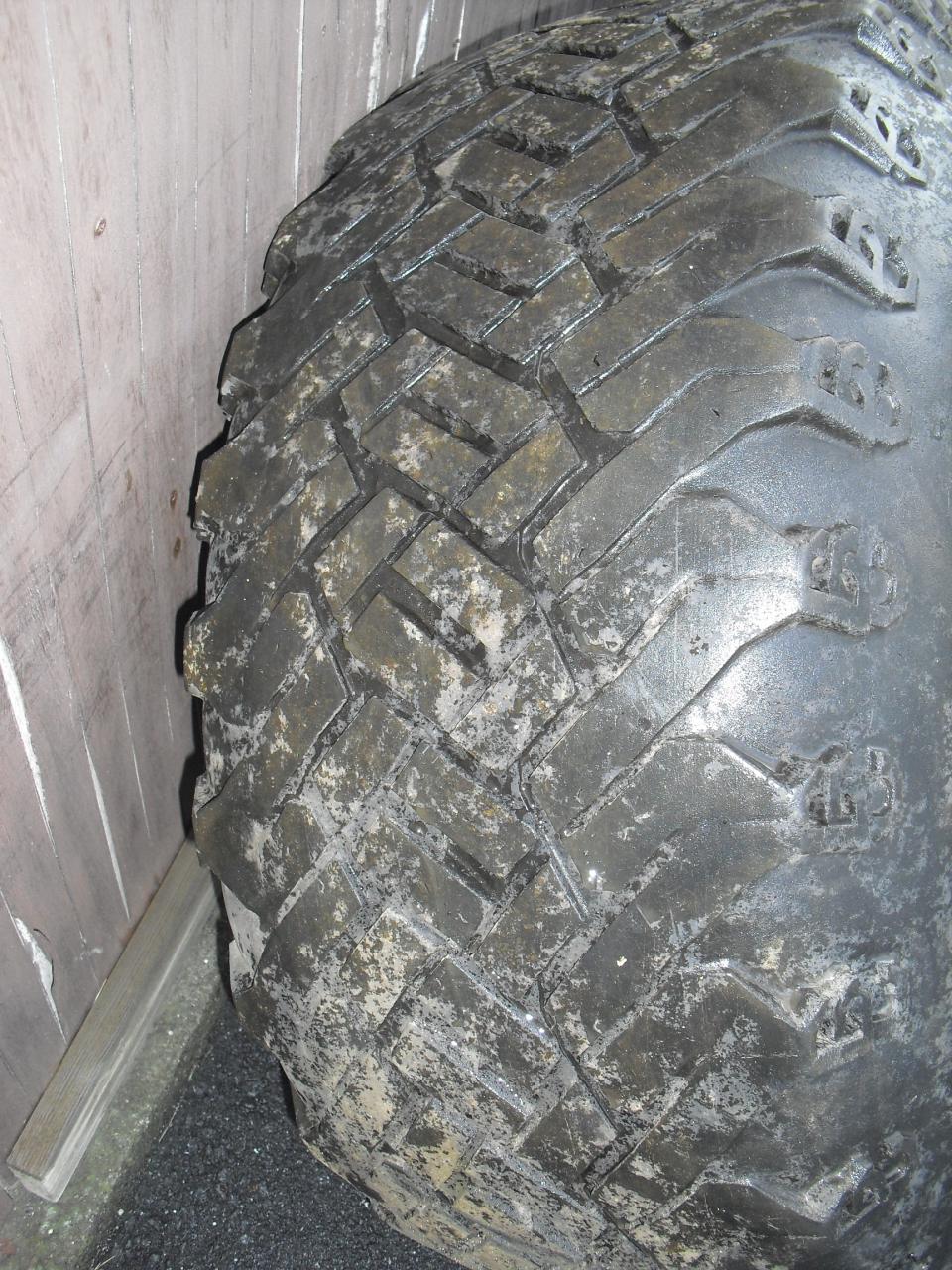 CIMG7986.JPG