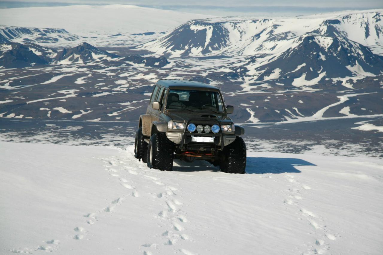 galloper22.jpg