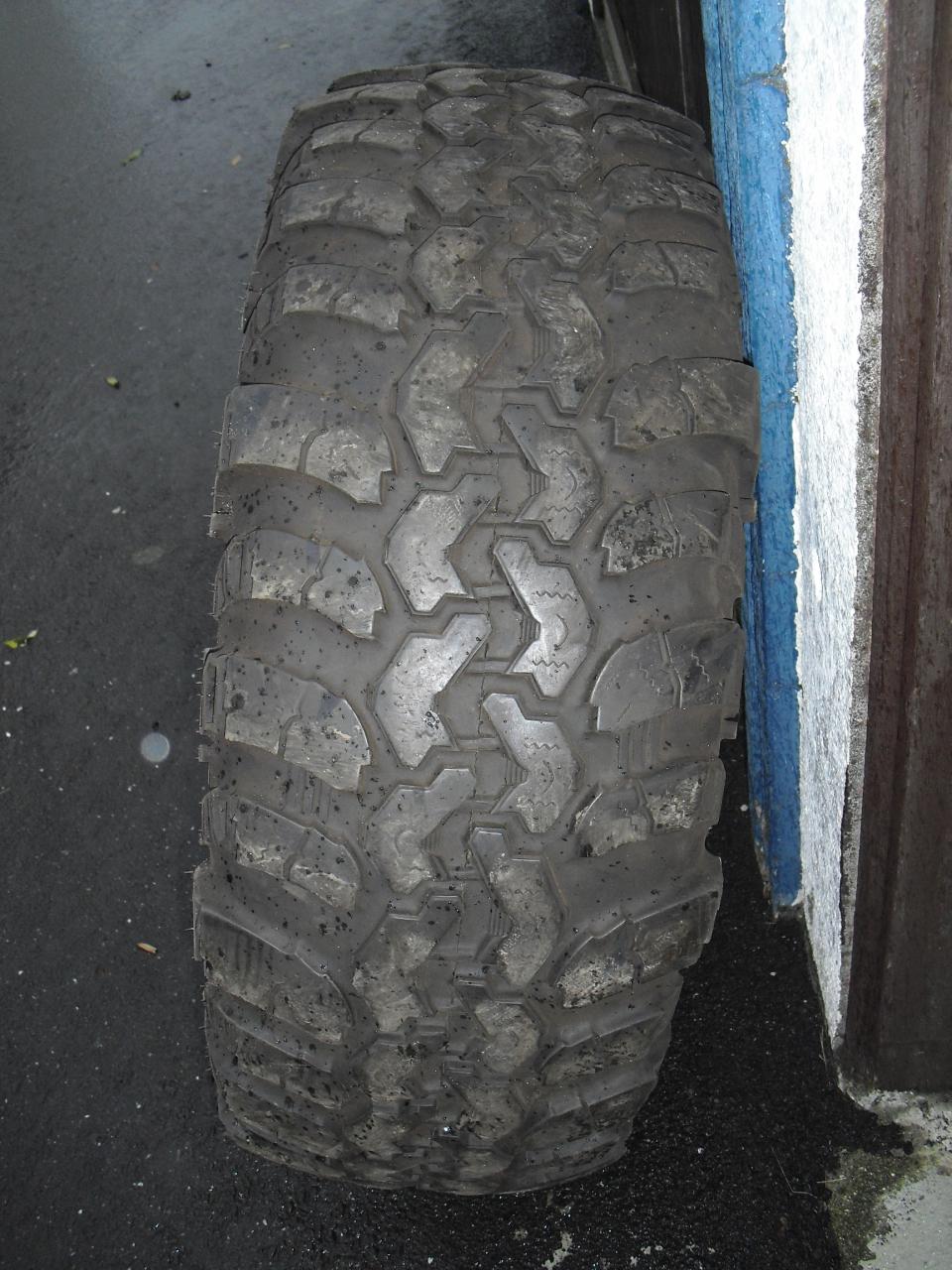 CIMG8433.JPG