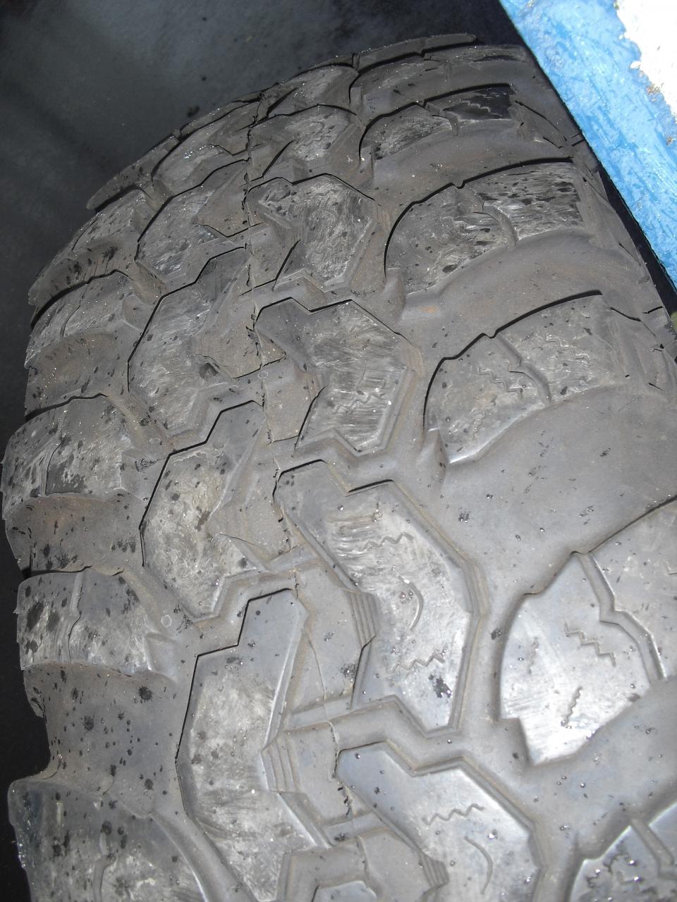 CIMG8434.JPG