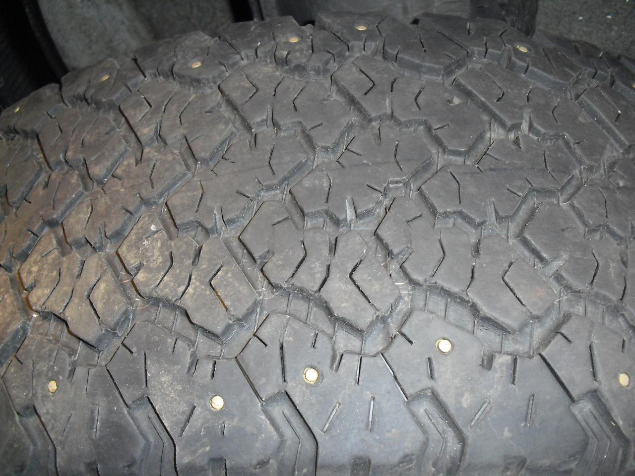 CIMG8591.JPG