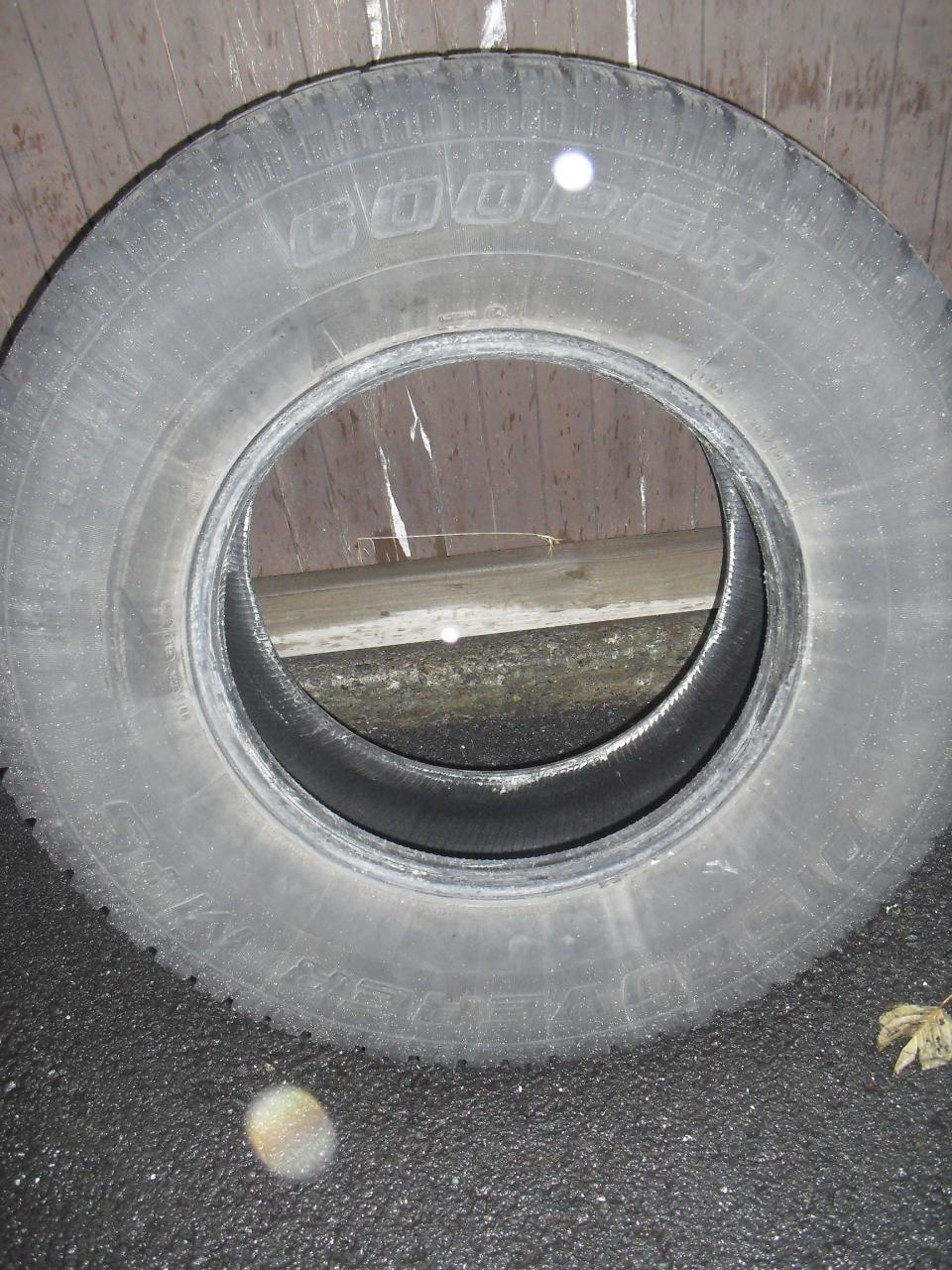 CIMG8713.JPG