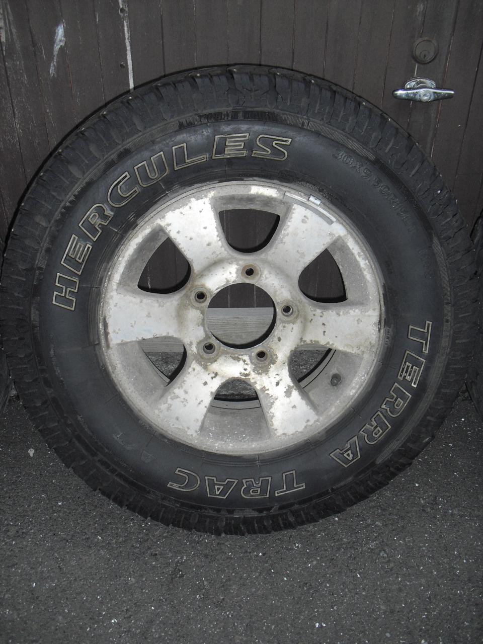 CIMG8916.JPG