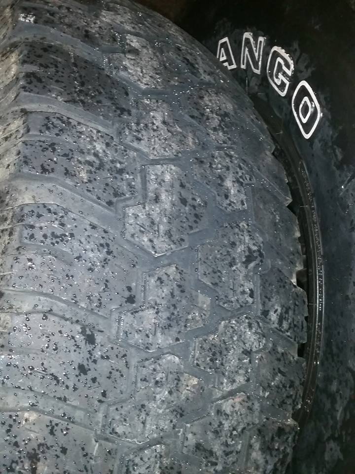 10389070_687654631350773_2431026313988120330_n.jpg