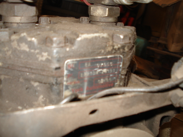 DSC04737.JPG