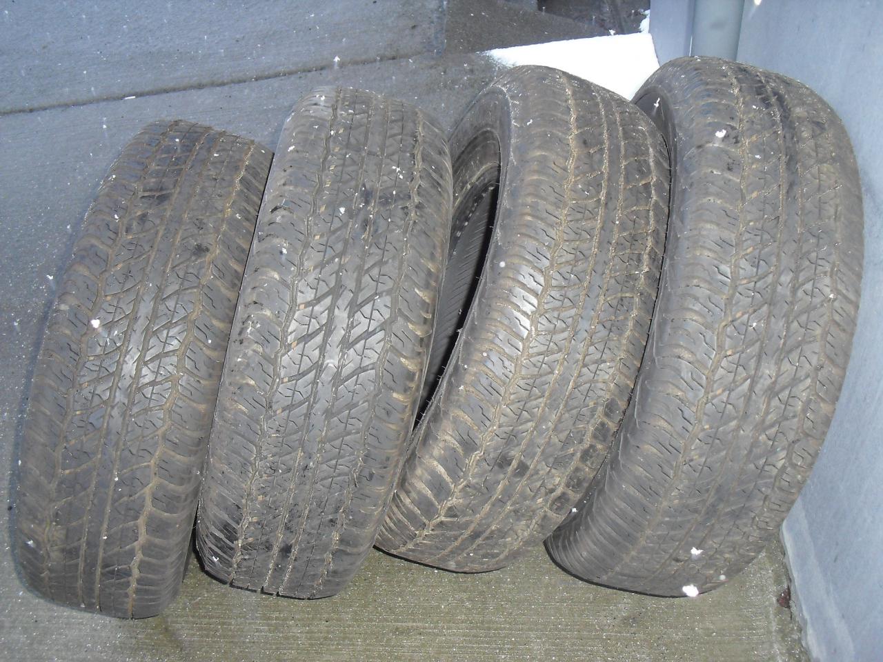 CIMG9469.JPG