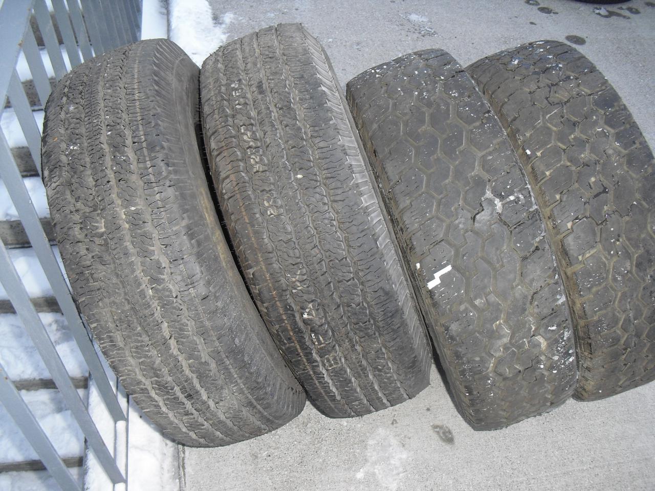 CIMG9506.JPG