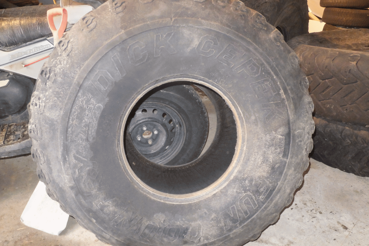 DSCF2639.gif