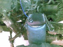 30691_394437788004_537118004_4265595_972684_n[1].jpg