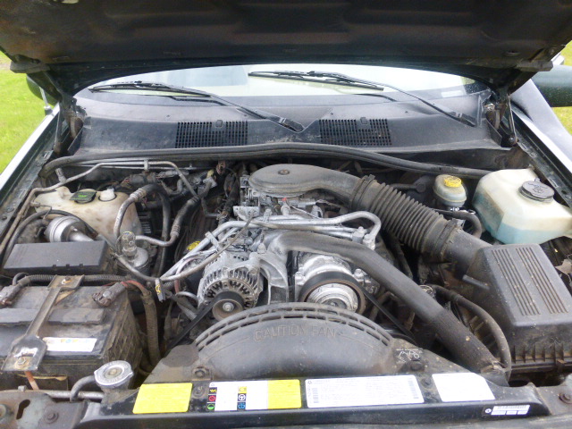P1000565.JPG