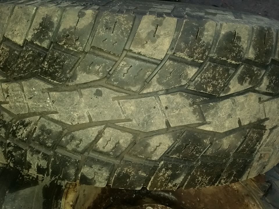11221633_864910543625180_6568835976839621445_n.jpg