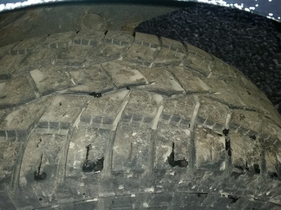 12065891_864909360291965_2529582126479312053_n.jpg