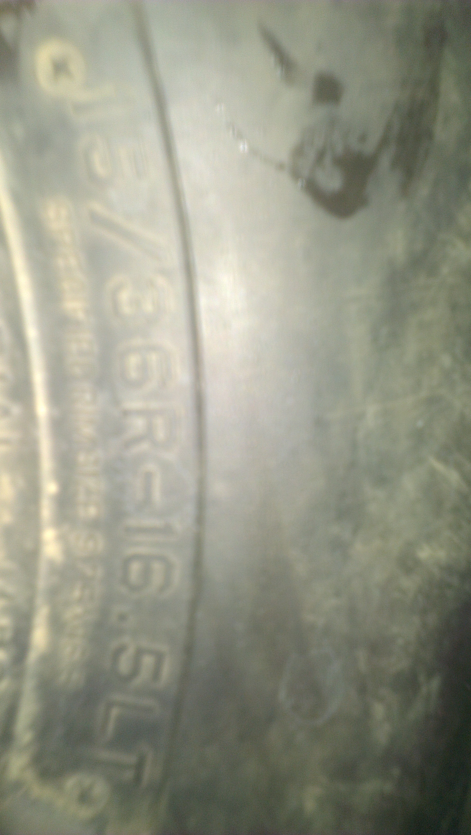 IMAG0764.jpg