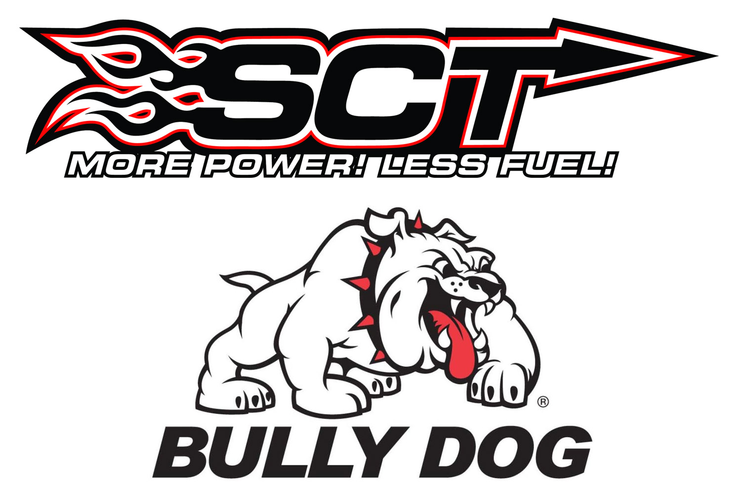 sct-bully-dog-logo-merger.jpg
