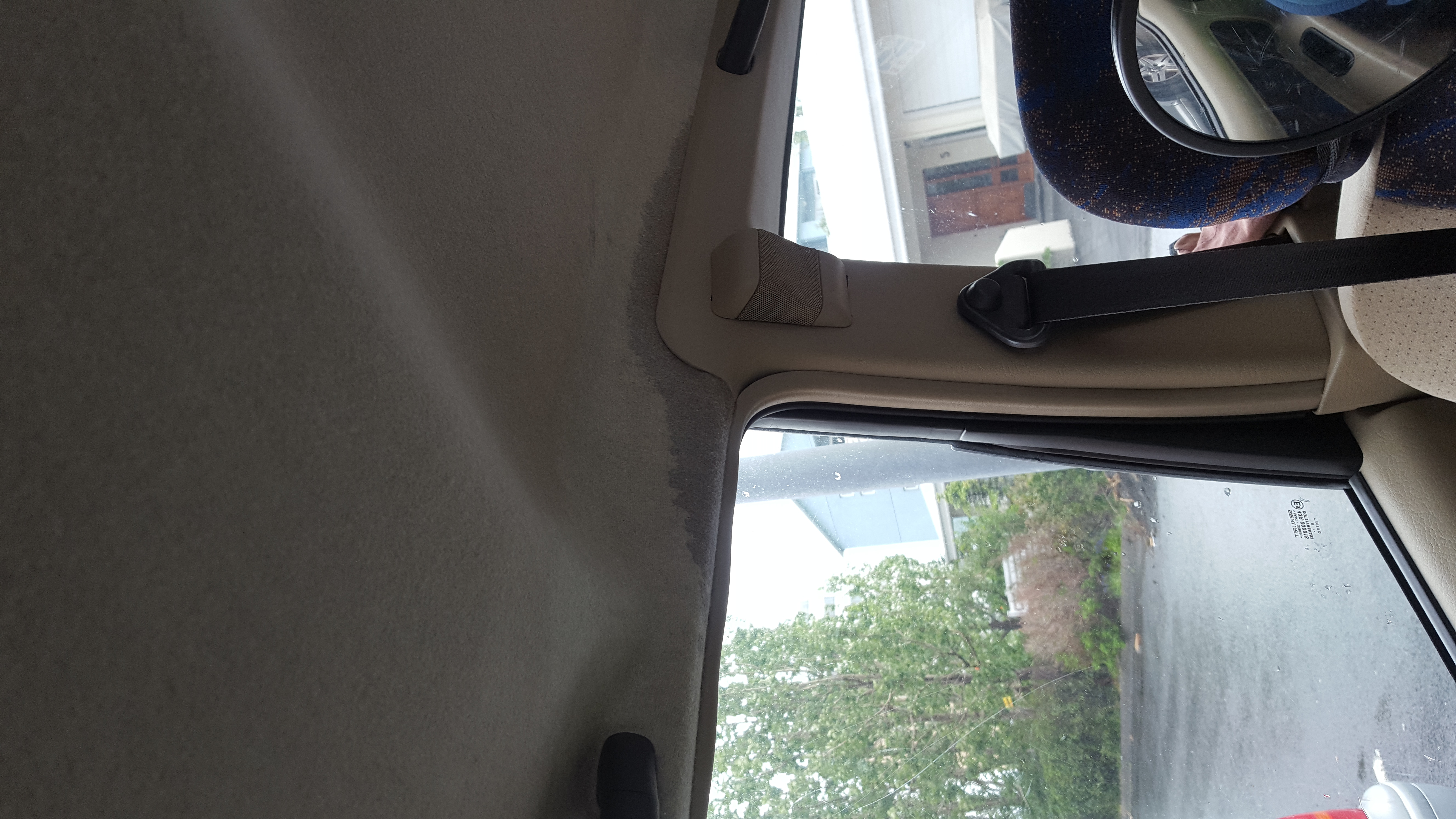 20160616_164923.jpg