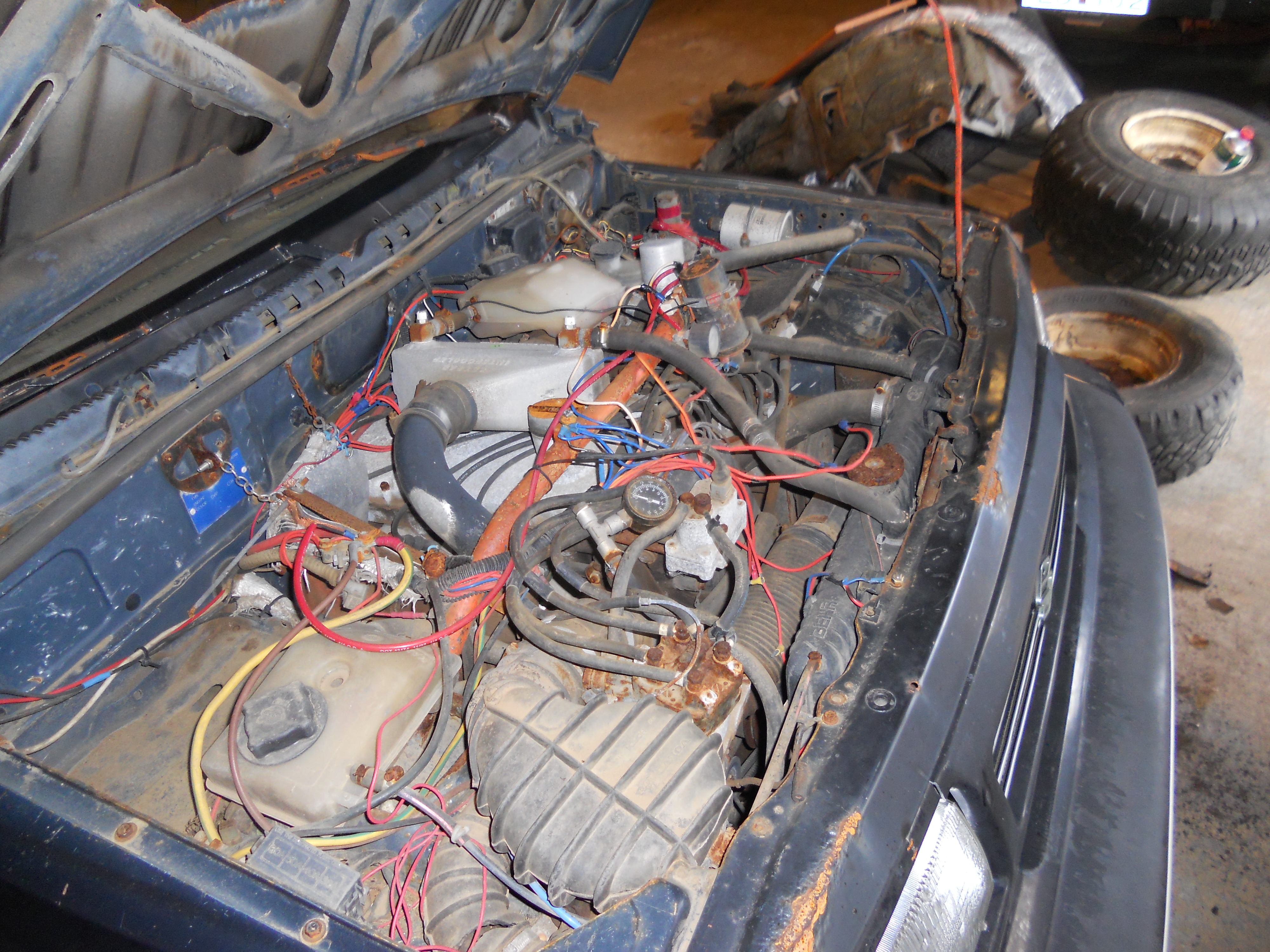 DSCN3390.JPG