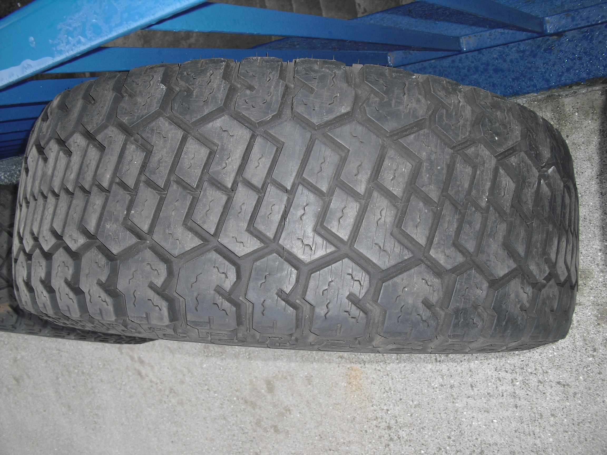 CIMG6081.JPG