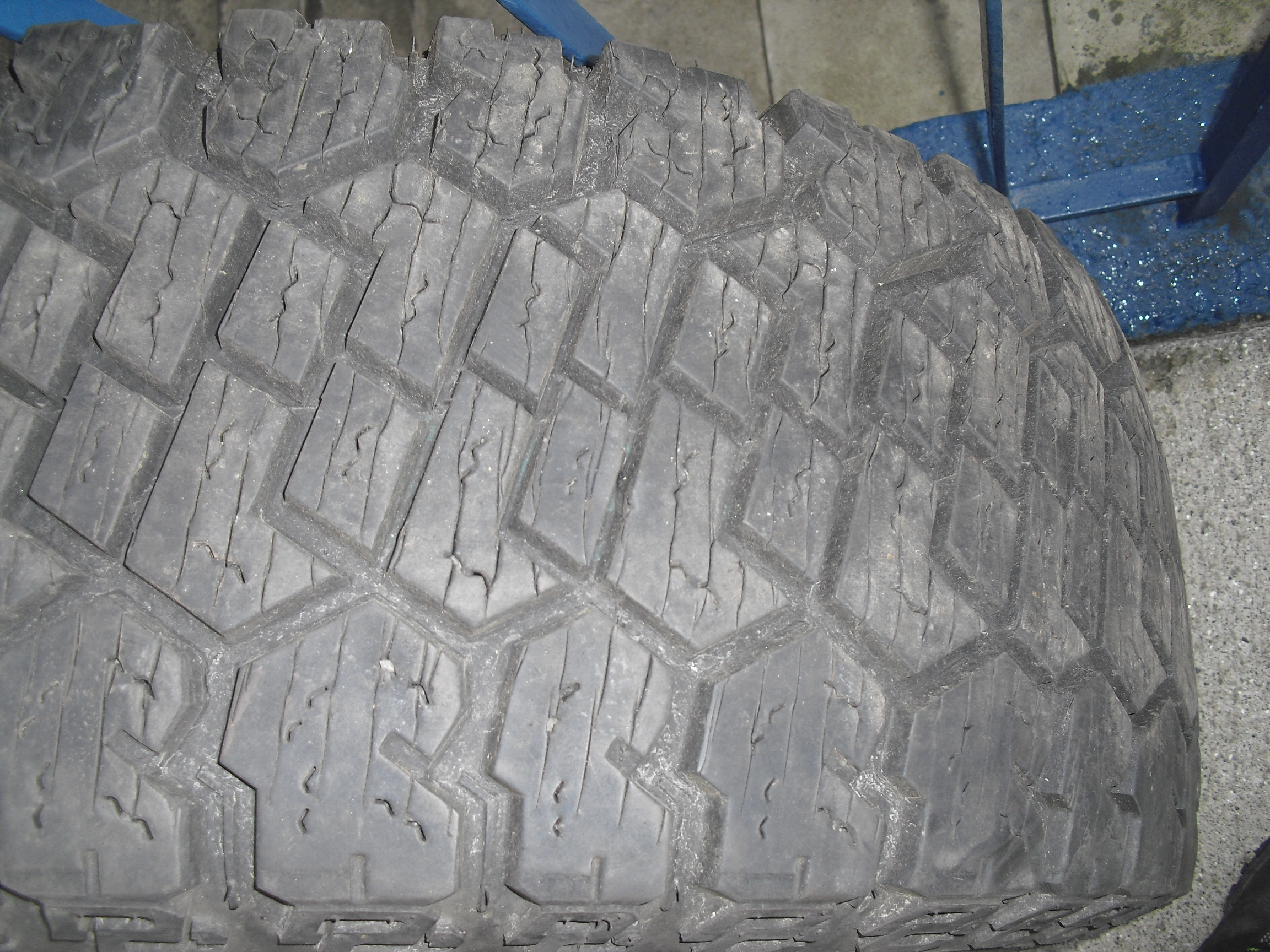 CIMG6084.JPG
