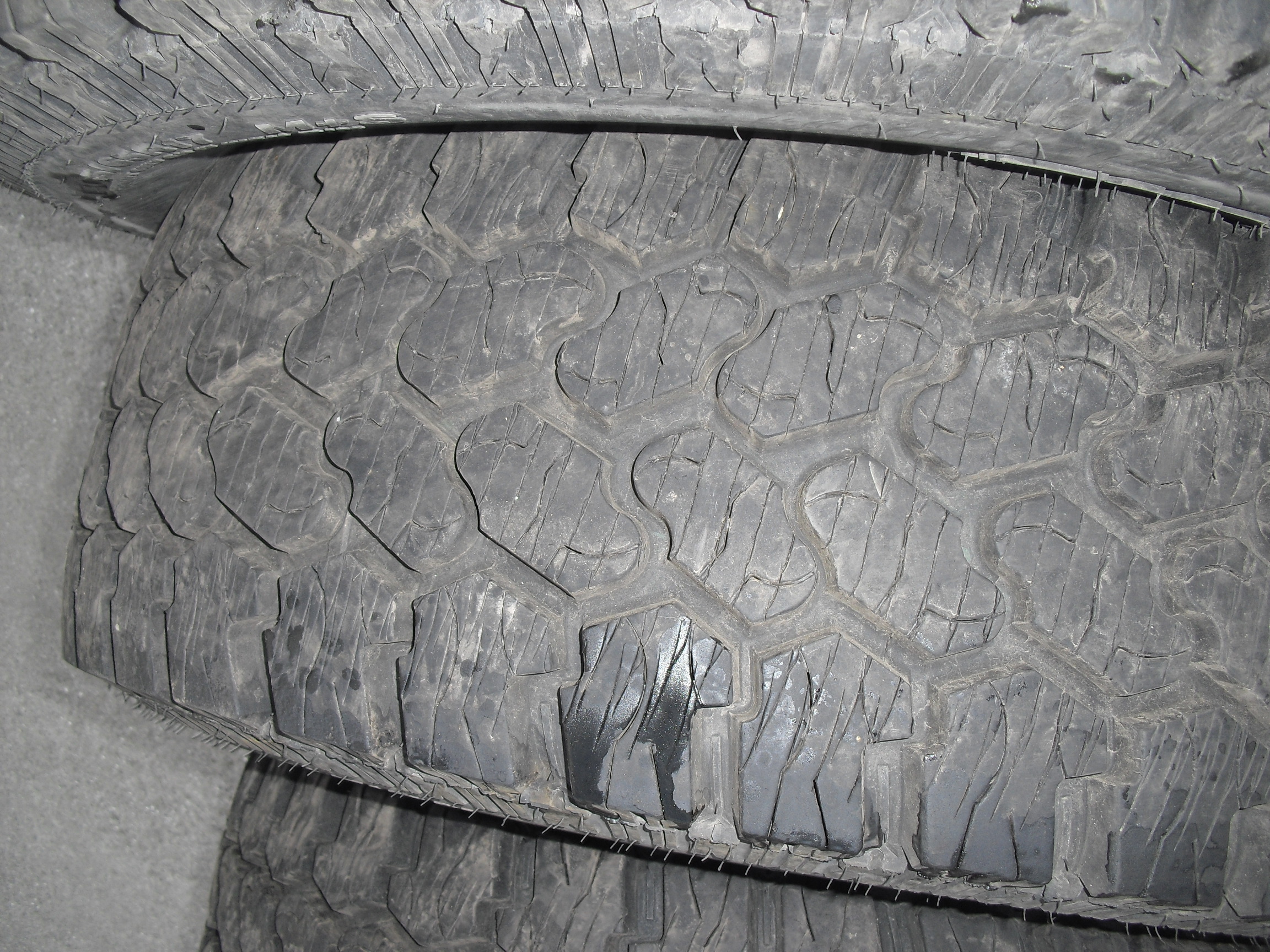 CIMG6657.JPG