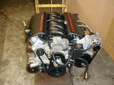 LS1.jpg