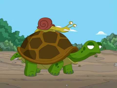 turtle ride.jpg