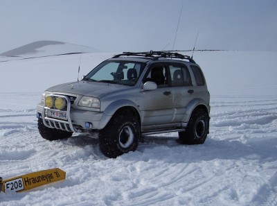 Suzuki 1.jpg