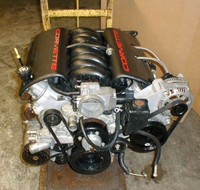 LS1.jpg