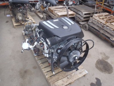 LS2.jpg