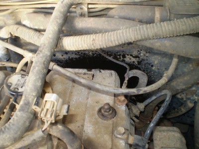 hilux head 021.JPG