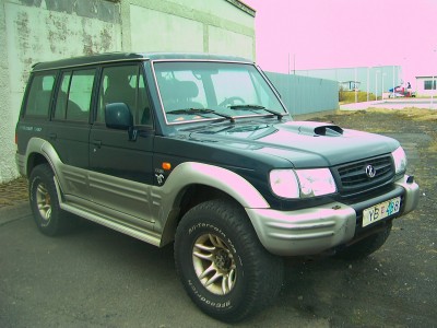 galloper 001 (1).jpg