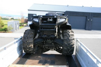 Polaris (Medium).jpg