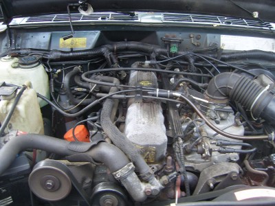 SV104982.JPG
