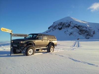 Hiluxinn skjaldbreið.jpg