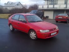 corolla 3.jpg