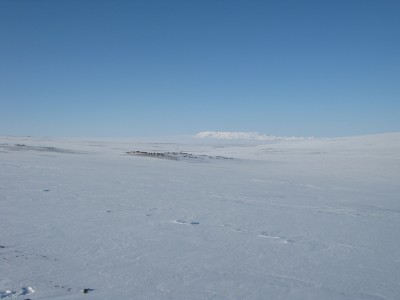 IMG_3599.JPG